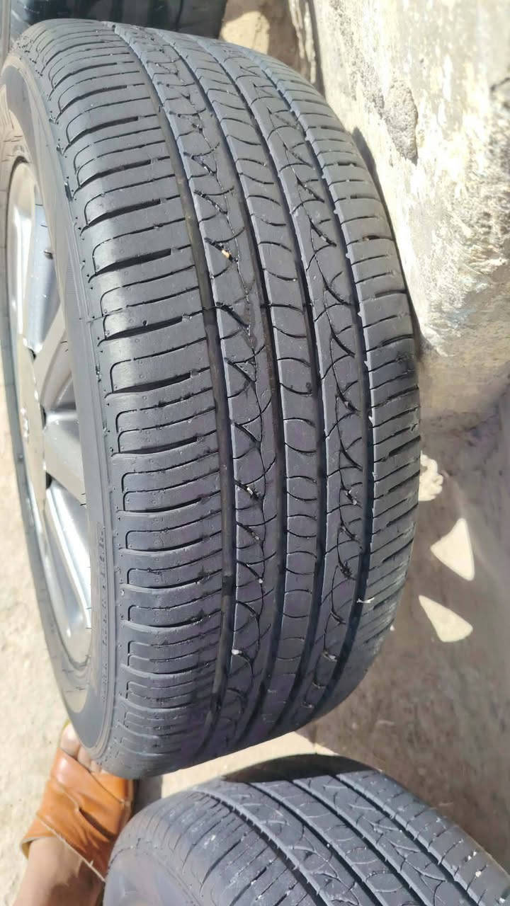 السلام عليكم للبيع تخم ويل نجمه كامل مصبوغ نفطي فقط مامجلي ابد شراي يتصل يدلل ***********2 مكان كربلاء طويريج
