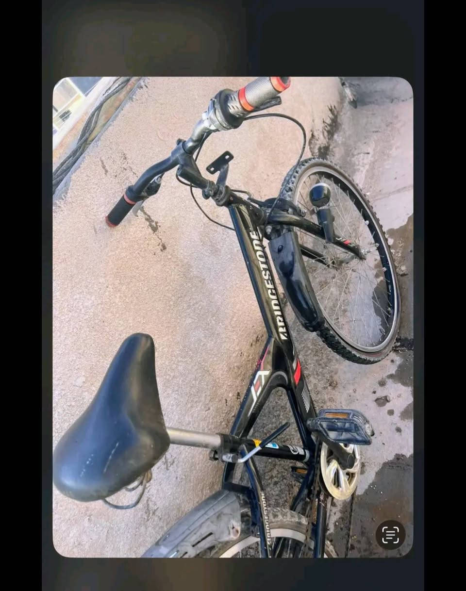 بايسكل سبورت كامل مواصفات حجم 24 موديل 2021 عكرب شغال شخطه ما بي ياباني اصلي السعر 90 وبي مجال الموقع بغداد الدوره البوعيثه


**إذا كنت صاحب هذا الإعلان وتريد حذفه لأي سبب، رجاءا أرسل رسالة إلى الدعم الفني**