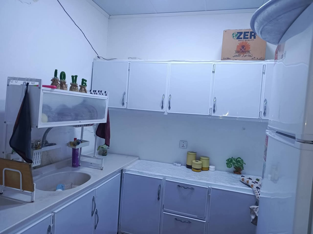 سڵاو هاوڕێیان
هاوڕێیان داشکاندنمان کردووە بۆئەم خانوە
پێشتر 285گڵا بوو 
ئێستە خواری ئەم سعرە
هەرزان  هەرزان  هەرزان
لەکەلار کۆنەوە لەگەڵتانداین
ڕووبەری ئەم خانووە  120مترە
خانوویەکی جوانوو پاکو پختە یە
سەقفی مغربی دکتی مووبەریدە
شوێنی زۆرخۆشە 
ماڵی فەقەقیرە
خانووەکەمان نزیکی مزگەوتوو قووتابخانەیە
کۆڵانی فراوانە
نزیکی کەلاری نوێ
ـــــــــــــــــــــــــــــــــــــــــــــــــــ
ژوورەکانی
میوان
هۆڵ +جێشت خانە
ژووری خەو
حماموو سەرئاو
ـــــــــــــــــــــــــــــــــــــــــــــــــــــ
بۆزانیاری زیاتر پەیوەندی بکە ژمارەکانی نووسینگەوە
***********
***********
***********
ـــــــــــــــــــــــــــــــــــــــــــــــــــــــ
یان دەتوانیت سەردانی نووسینگە بکەن
ناونیشانی نووسینگە
کەلار مەجمووعەی 500ماڵەکە نزیك مزگەوتی تەقوا
