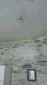 بيت للبيع قطاع 49بي 5غرف نوم وصاله ومطبخ واستقبال وحوش نص صب وعگاده يحتاجله ترميم بسيط عالي عن شارع قريب عل خدمي بدربونه سعره مناسب جدا وصل167مابيع 175وبس مجال بسيط رقمي ***********
