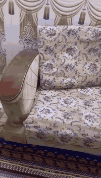 ديوان ١٠ مقاعد نضافة ٧٠%    حلو بس مقعد ابو نفرين بيها جعب مكسور وترتيب الديوان  
ب ١٠٠ الف  وطباخ تركي كلش نضيف كامل  ب ٧٥ الف 
بغداد. .. شهداء البياع


**إذا كنت صاحب هذا الإعلان وتريد حذفه لأي سبب، رجاءا أرسل رسالة إلى الدعم الفني**