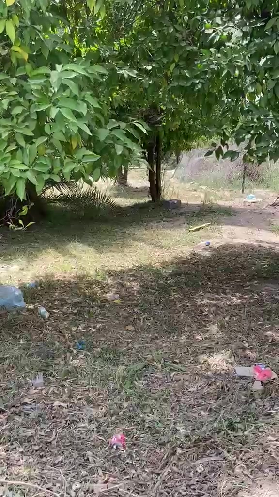 ***********
العنوان الدوره البوعيثه مجاور مدرسه الاحرار
