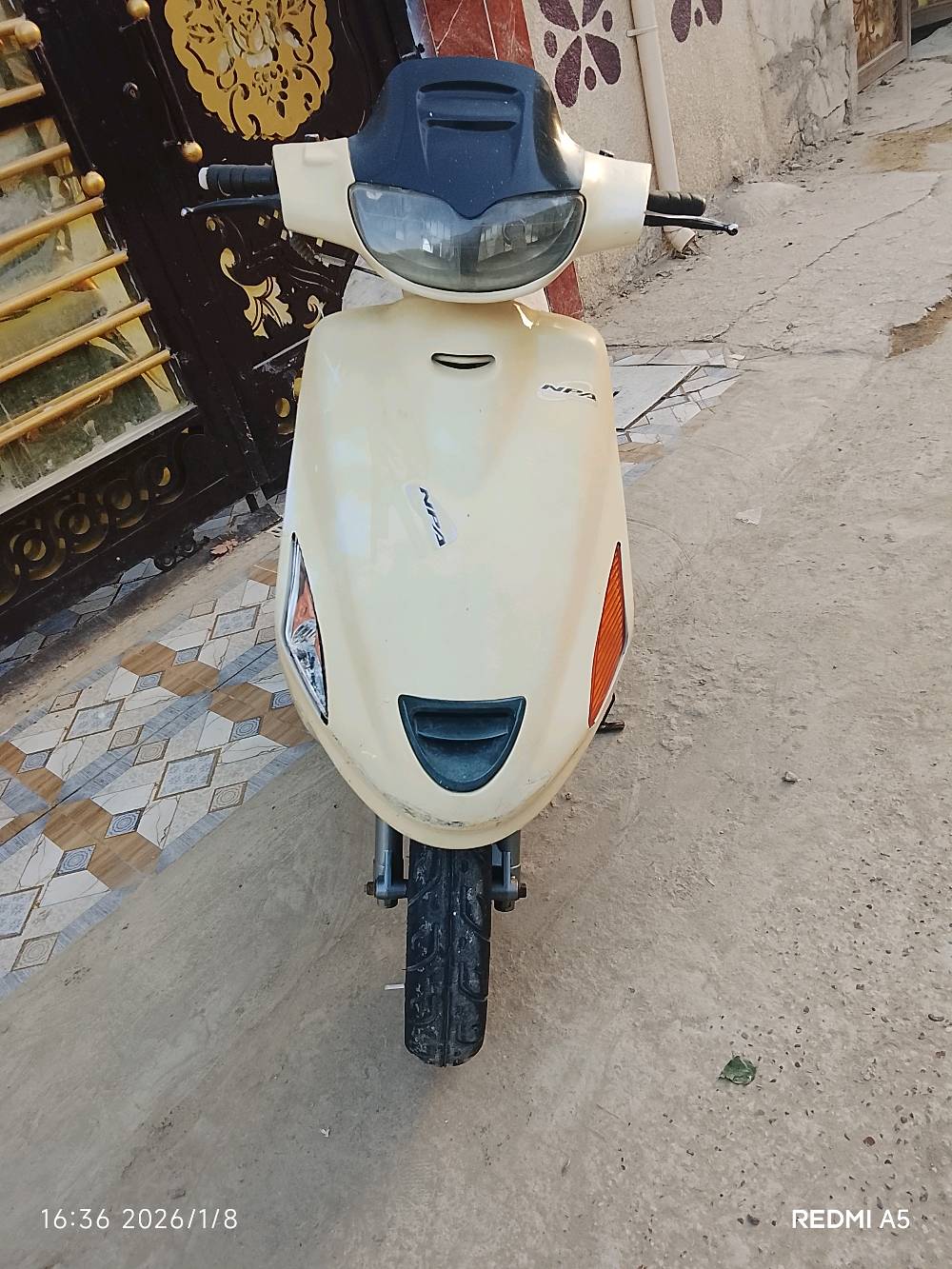 للبيع دراجه فراضه فحل فقط بيه دخانه مكاني حله شاوي قرب غرفت التجاره سعره ٢٣٠ وبيه مجال بصيط 