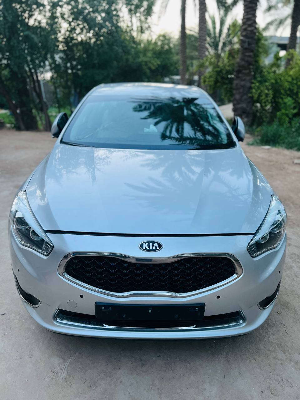 كادنزا 14للبيع او مراوس حسب القناعه العنوان كربلاء  التفاصيل ***********
