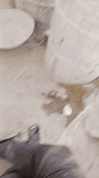 مبيضجي متفرغ حاليا.*********** مكاني الشعب حي التجار
