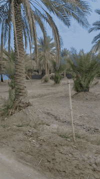 كربلاء ناحية الامام عون • شارع الخطاطبة • ١٢٥٠م