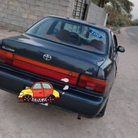 كورلا نفخ • انكليزي • بصرة