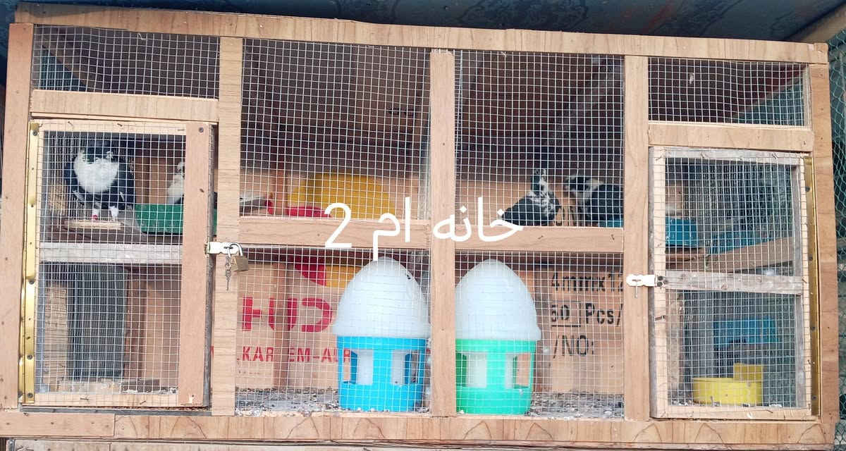 خانات البيع مكان الفلوجه حي الجولان الاستفسار  ***********_ ***********
