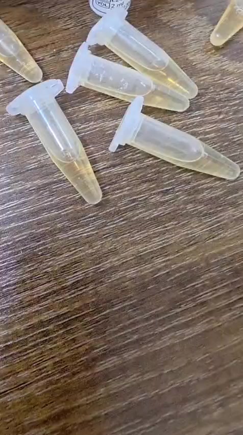 كت   Zinc mono  ٥٠ تيست
مقيم من وزارة الصحة العراقية
*********** للتواصل
