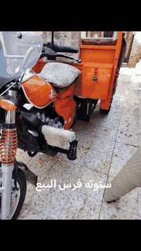 ستوته فرس • موديل 23 • أوراق