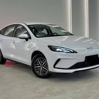 شيل 05 • ٢٠٢٥ • شاشة كاميرا