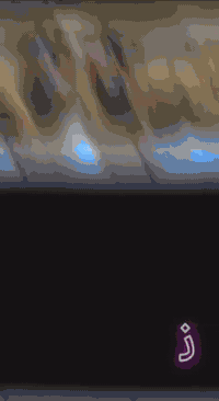 نور فلين • فوم تركي • الموصل