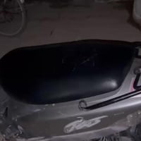 ماكس قجمه • شغالة • بلادية