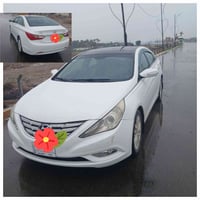 سوناتا • ٢٠١١ • قطعة صبغ