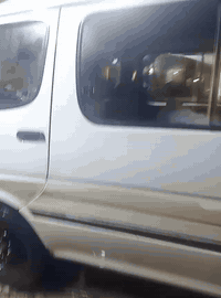 اف موديل 14 رقم بغداد بيها بس باب العبري مبدل تأخذ مصفره هيءه ومرور تح...