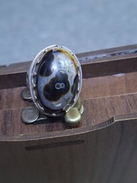 نوادر • كلمن • تواصل خاص