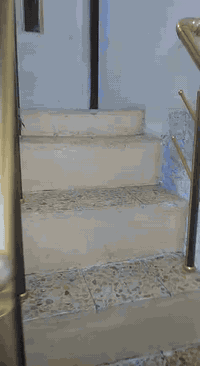 مشتمل للأيجار ٣٠٠ قفل مسلح ركن هول وخدمات جوه غرفتين نوم فوك  شارع الد...