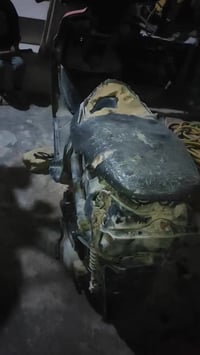 فراشه • فحل • كابريتا