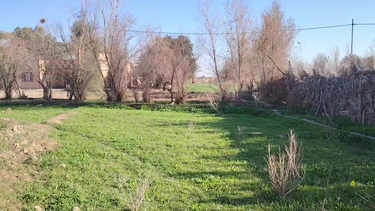 يوجد ارض زراعيه سند25 المساحه 21 دونم
مع بيت زائد حقل
موقع الكاع بابل ناحيت الشوملي قرب جدول حسان
الاستفسار ***********
مراجعة مكتب عباس كعيد
