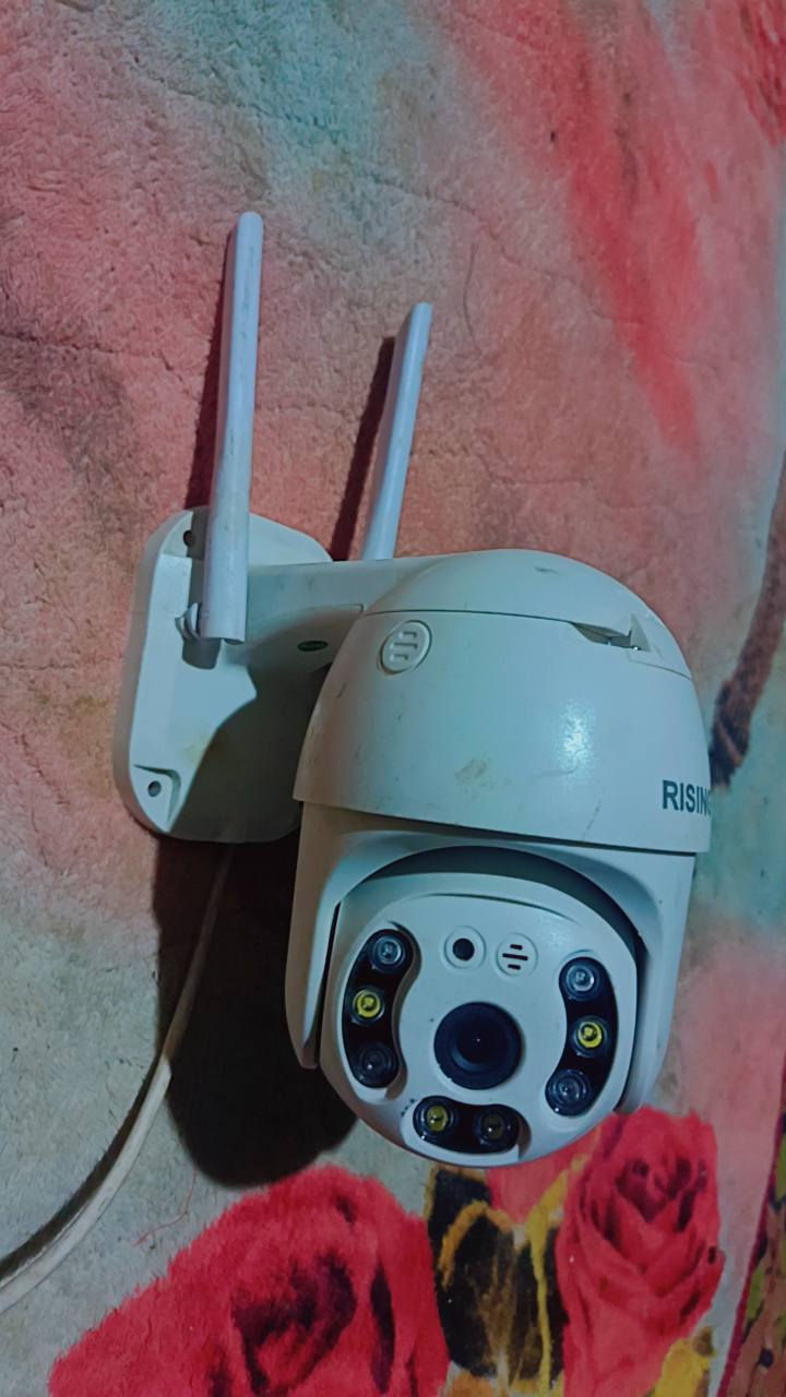 متاح شلع العدد 19كلهن شغالات 
الوحدة 5 الاف 

مكان حسينية المعامل 
***********
