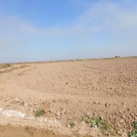 ارض زراعيه • ١٠٠ دونم • طابو سند ٢٥