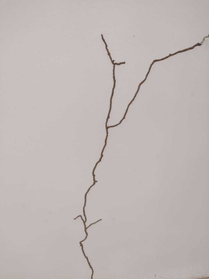 عندك ارضة بالبيت ؟ ( 🐜) وماكلة الحايط والاخشاب وتريد تخلص منها الحل يم شركه القلعه لزراعية لمكافحة الآفات وحشرة الأرضة طبعاً اول شي نفحص بيتك بجهاز سونار وبعده رش المبيدات وبضمان حقيقي✅تصل مدة الضمان الى 10 سنوات موجود عروض وخصومات لكل دوائر الحكومية  ومجمعات السكنيه وهاا تعفير وتعقيم مجاني ومواد فايروسه ناقله للعدوه بنسبه للحشرات صحه عامه عديمة الرائحة  وميحتاج اخلاء الموقع  وكوادرنا تعمل لجميع  محافظاات العراق الآن اتصل بنا ***********(☎️) او مراسلة الصفحة الرئيسية او الاتصال على رقم الهاتف ☎️***********واتساب 📞
