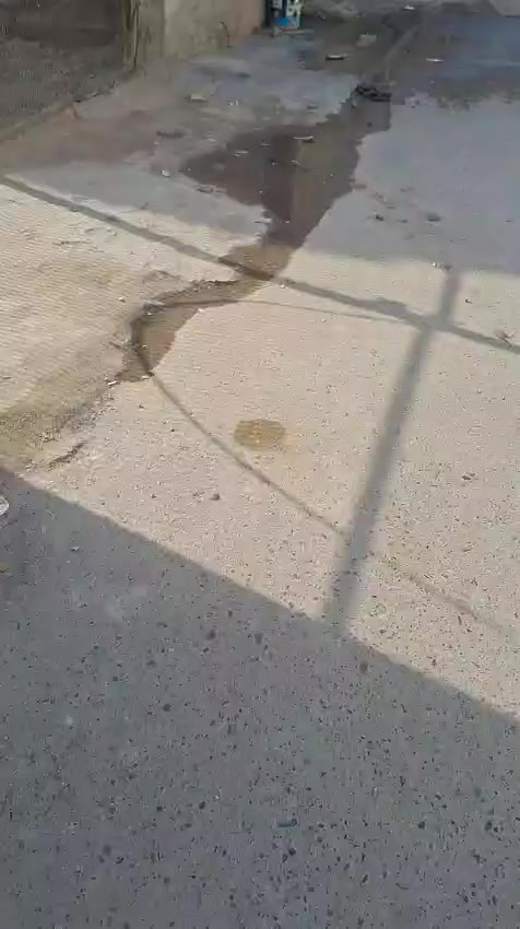 السلام عليكم قطعة ارض مساحه 80 متر للبيع بداية شارع القديم التواصل واتساب ***********
