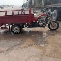 ستوته • اصولي • ٢٠١٩