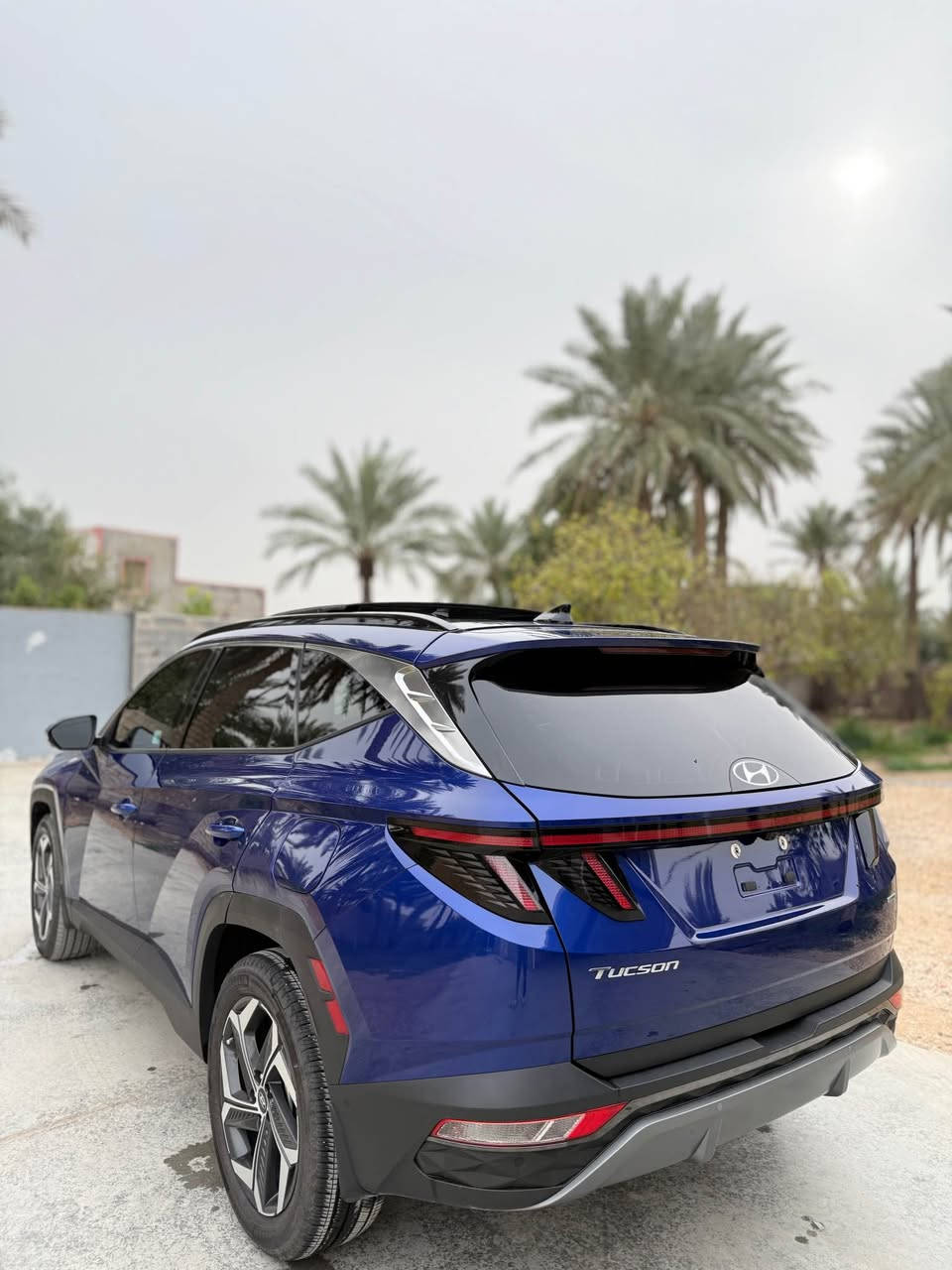 توكسان 2024 فول مواصفات اعلى فئة  

قياده ذاتيه خلال البصمه 😍
تشغيل عن بعد 
بانوراما 🤍
خزن ميموري 
داخل  ابيض 
كشنات جلد 
كشنات كهربائيه 
+ تدفئة + تبريد جميع المقاعد الاماميه والخلفيه ✨
شاشه ديجيتال 😍
تدفئة ستيرن 
كامرات 360 درجه 
حساسات 360 د 
رادارات 
شحن  لاسلكي ماكسيڤ
محدد مسار 
جنطه كهربائيه 
ويل كب 
كير أزرار 
اشاير بالمري 
تبريد قطعتين 
تحكمات جهتين 
مثبت سرعه 
انضمة قياده مختلفه 
كشافات 
سستم سماعات بووس 
مانع انزلاق 
لد أمامي + خلفي 
مع باقي المواصفات الاخرى  حادث مقدمة الجاملغ والبنيد 
مكان حله السعر 193 وبيه مجال 
للاستفسار واتساب او اتصال ***********🤎 حلة, بابل
