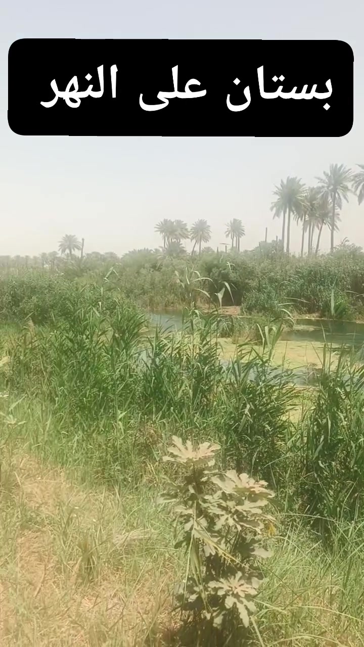 بستان تقع على النهر
للاستفسار أكثر
***********
***********
 #النجف #الكوفة #العراق @إشارة

