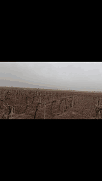 بسم الله ماشاء الله تبارك الرحمن يوجد كادر كص عنب كادر كامل مكمل انته عليك اتصل وتدلل رقم الهاتف  ‏‪***********‬‏
