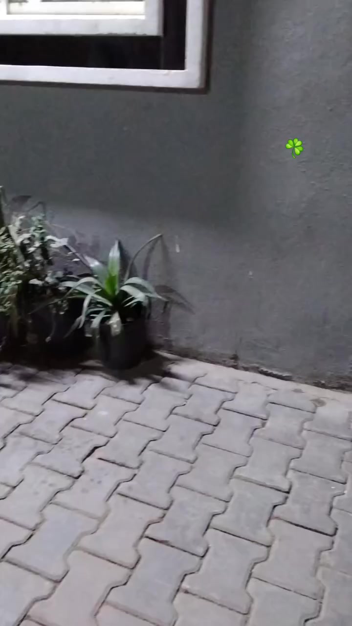 سلام عليكم ماكس مضلع نوزل مكينه ابلاديه شرط اسبانه مامدوده عليها كهربائيات كلها شغاله سلف رياضي كلجات رياضي يدات رياضي دبل خلفي رياضي/العنوان بغداد الكريعات/


**إذا كنت صاحب هذا الإعلان وتريد حذفه لأي سبب، رجاءا أرسل رسالة إلى الدعم الفني**