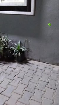 ماكس مضلع • مكينه ابلاديه • دبل خلفي رياضي