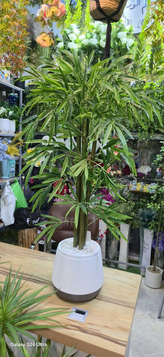 السلام عليكم محل لبيع الورد والاشجار الصناعيه مشابهه الطبيعي كوت الكفاءات شارع  رقم الهاتف ***********
