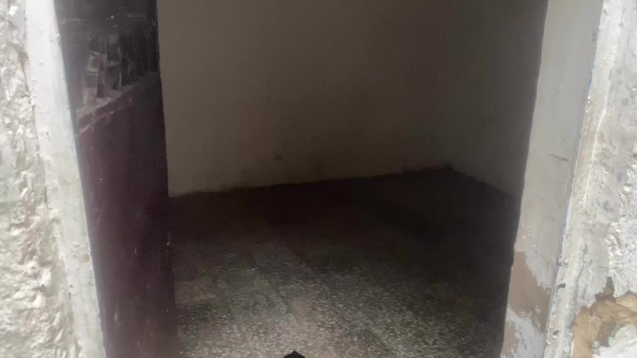 بيت للايجار نص قطعه قطاع 74 مدينه الصدر سوق العوره***********
