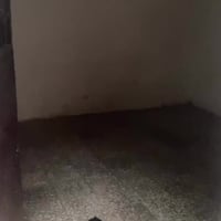 بيت للايجار نص قطعه قطاع 74 مدينه الصدر سوق العوره07731177230