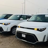 سيلتوس • ٢٠٢٤ • حوادث خفيفه