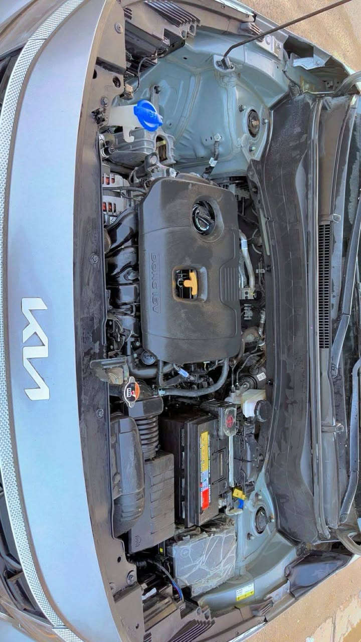 السلام عليكم كيا ستلوز مصبوغه حزام رقمي *********** عنوان المشتل المعلمين
