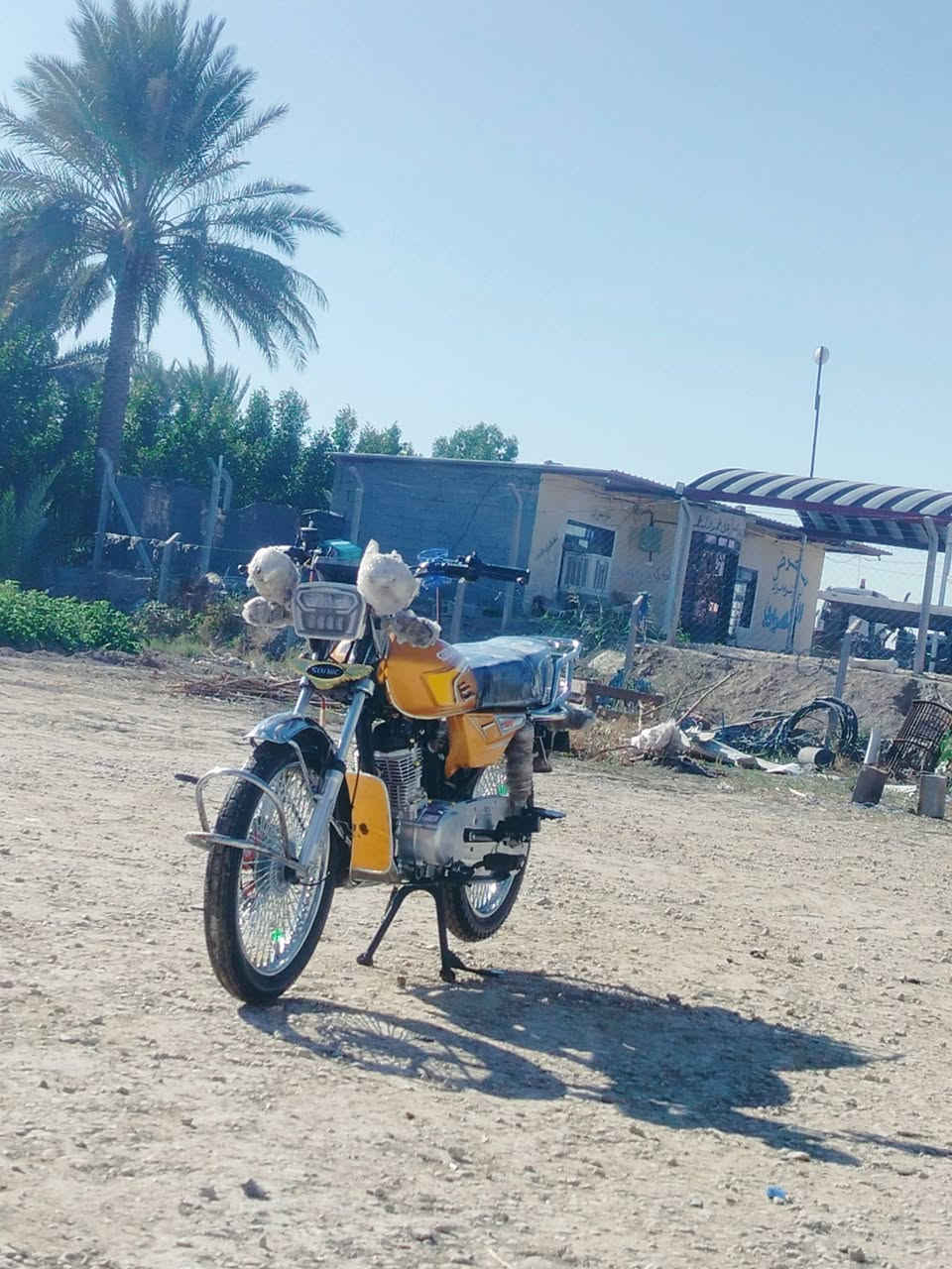 سلام عيكم تايگر للبيع موديل 2025 أوراق اصولية ولدراجة خير من الله نضيفة  سعر 750 وبيهة مجال قليل مكان بابل قضاء جبلة رقم لهاتف ***********
