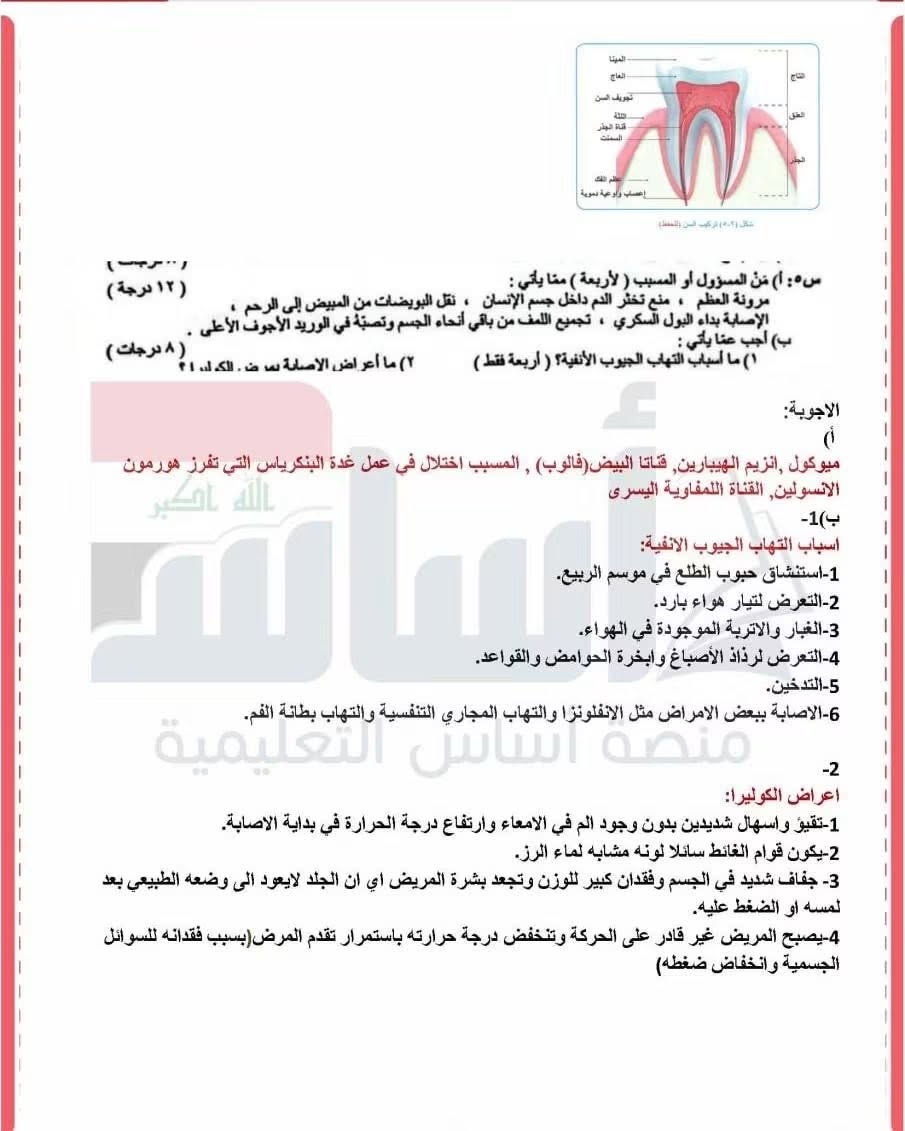 طلاب هاي ملخصات تفيدكم اكيد بالعطلة مراجعين هسه تكدرون تشوفون نفسكم مراجعة بيهن تمتحنون


**إذا كنت صاحب هذا الإعلان وتريد حذفه لأي سبب، رجاءا أرسل رسالة إلى الدعم الفني**