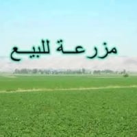 ارض زراعيه • ٨٠ دونم • الاحرار المغاربه