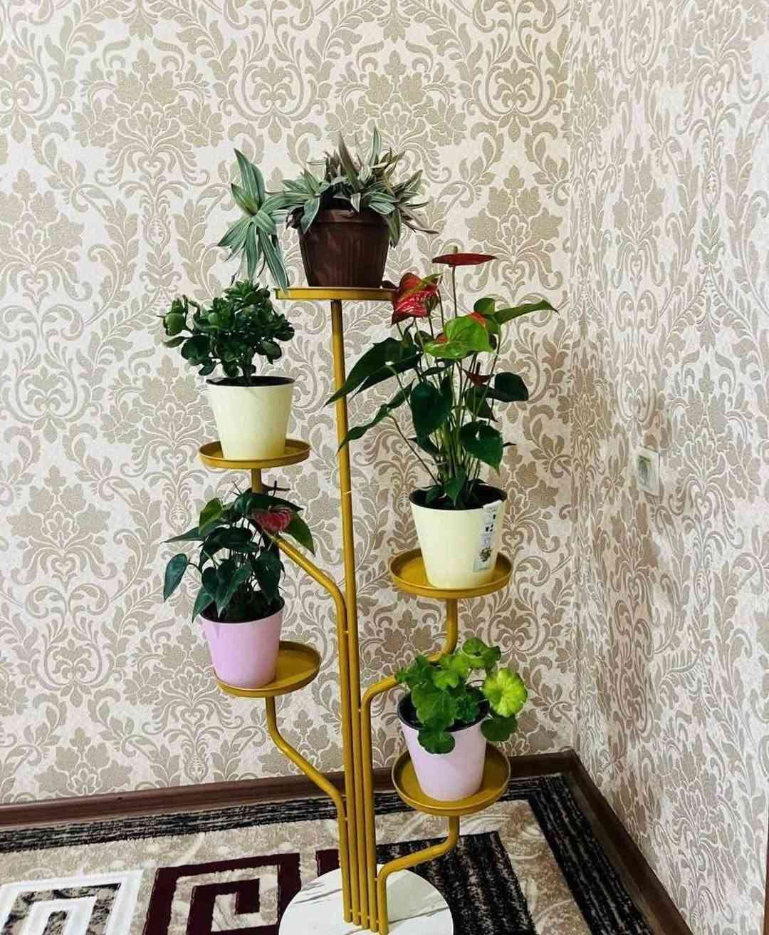 #آخر قطططع🔥
#ستاند زرع ذهبي أنيق ✨

🔹لمسة فخامة تكمّل ديكور بيتك أو مكتبك
🔹تصميم عصري مع لون ذهبي راقي
▪️مُناسب للنباتات الطبيعية والصناعية ❤️
▪️خفيف وسهل النقل ويضيف جمال للمكان مع قاعدة مرمرية ✨

#السعر ٢٥,٠٠٠ الف دينار فقط

 #للحجز والاستفسار مراسلة الصفحة 👍
#يوجد خدمة توصييل لجميع المحافظات 🚛🚐🚛

#ستاند_زرع #ديكور_منزل #ديكور_عصري #نباتات #لون_ذهبي #تنظيم_وترتيب


**إذا كنت صاحب هذا الإعلان وتريد حذفه لأي سبب، رجاءا أرسل رسالة إلى الدعم الفني**