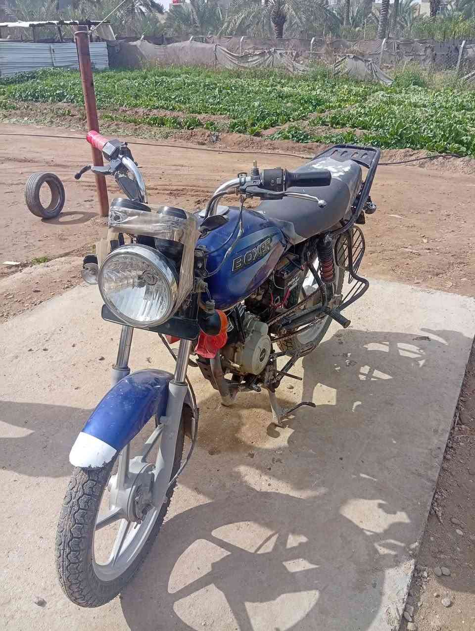 سلام عليكم بوكسر للبيع اوراق موديل 20 مكان حله الشراي ايطب خاص او بي خير اواني خادم


**إذا كنت صاحب هذا الإعلان وتريد حذفه لأي سبب، رجاءا أرسل رسالة إلى الدعم الفني**