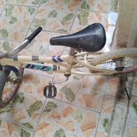 باسكل • مقاس 24