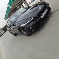 النترا • ٢٠٢٤ • رقم اربيل