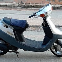 بوتين • معمّر • نضيف