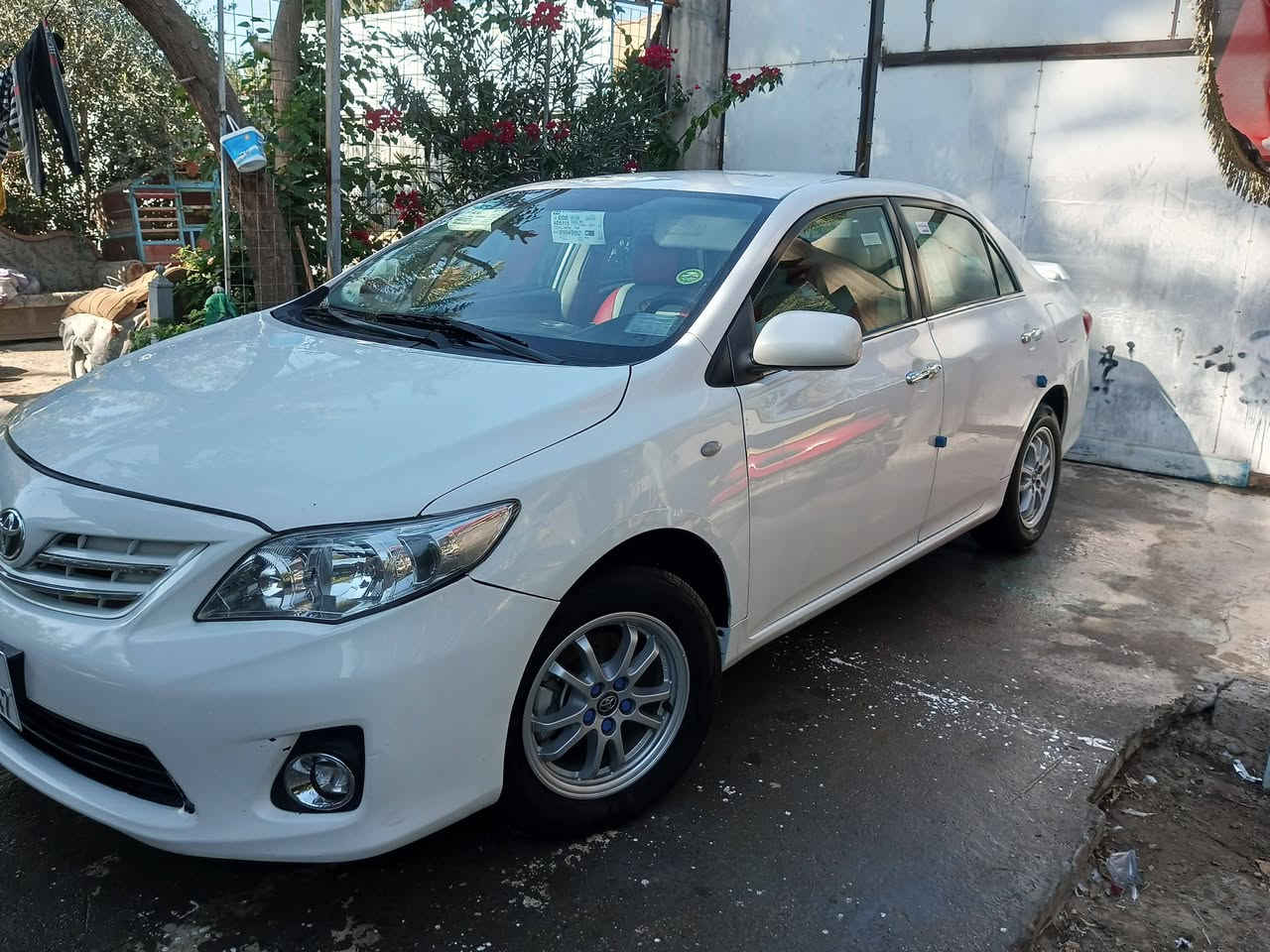 *********** للبيع كورله رقم بغداد بسمي مكاني بابل الشراي يتصل مكلف بالنشر
