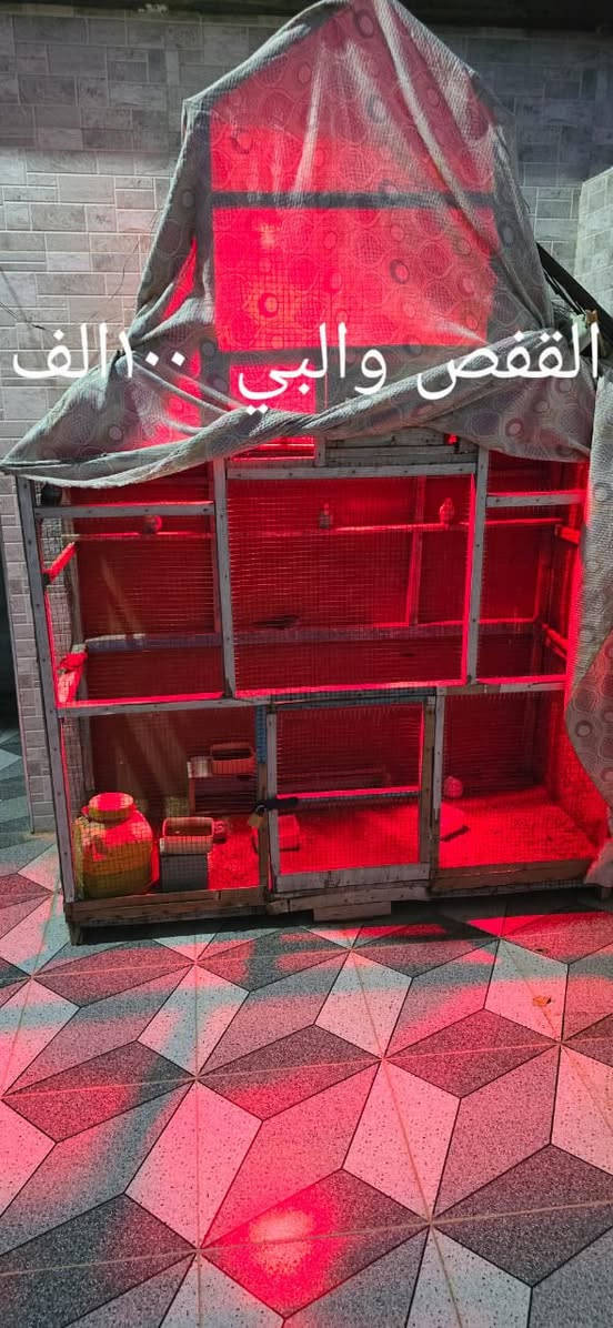 #للبيع
الخاص مفتوح


**إذا كنت صاحب هذا الإعلان وتريد حذفه لأي سبب، رجاءا أرسل رسالة إلى الدعم الفني**