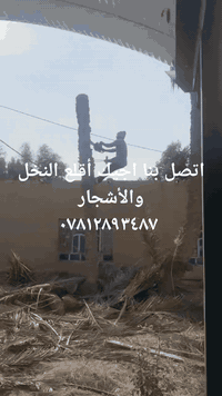 اقتلاع نخيل • اقتلاع أشجار