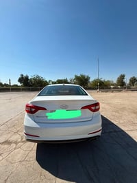 وارد امريكي • بدون صبغ • ٢٠١٧